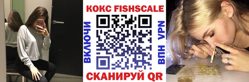 Cocaine Эквадор  продажа наркотиков  Пошехонье 