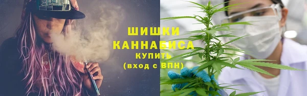 прущие грибы Алексин