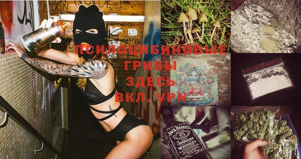 прущие грибы Алексин