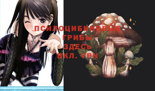 кокс Алексеевка