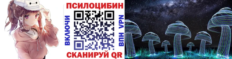 Галлюциногенные грибы мицелий  kraken зеркало  Пошехонье 